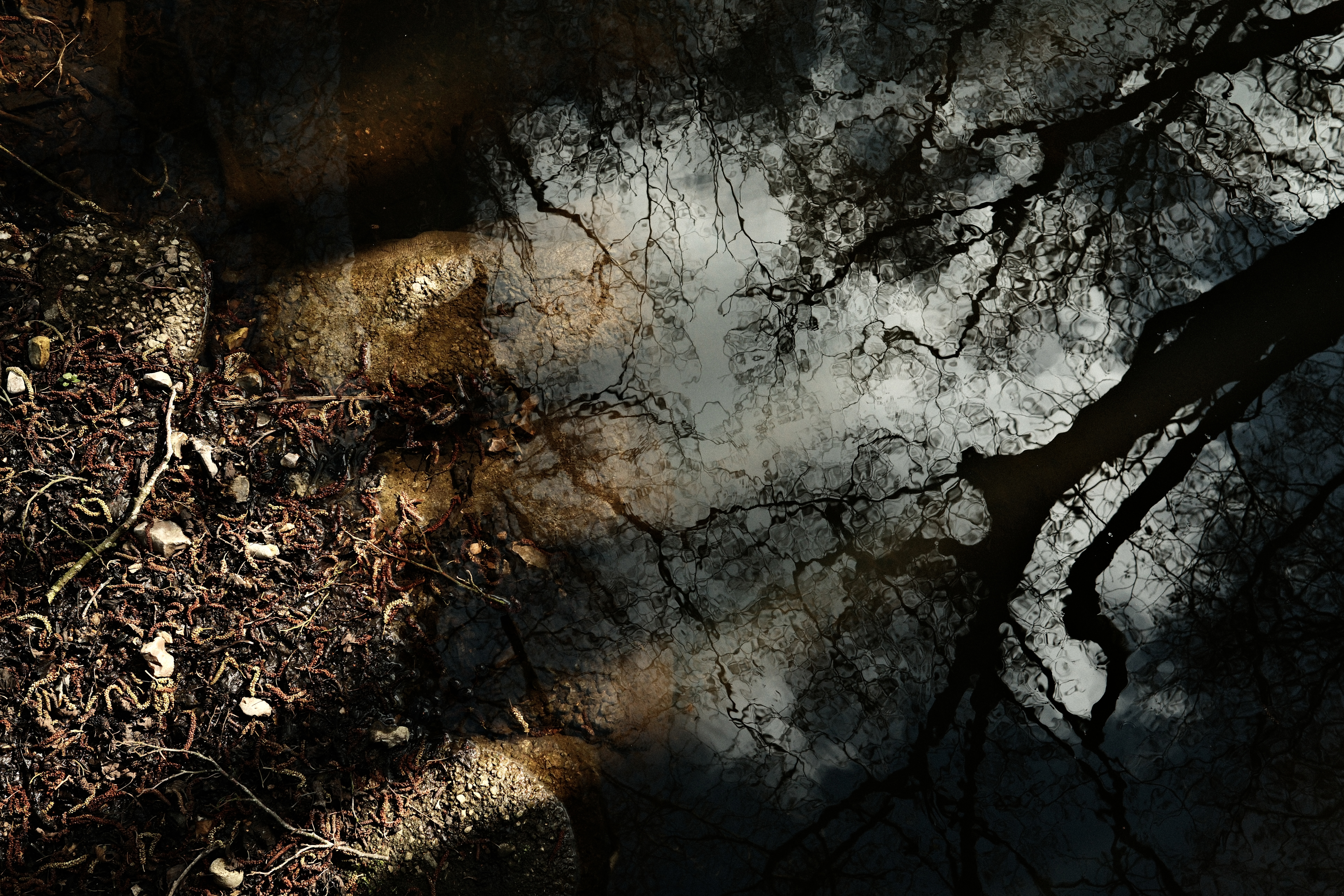 Unseasonably spooky reflections