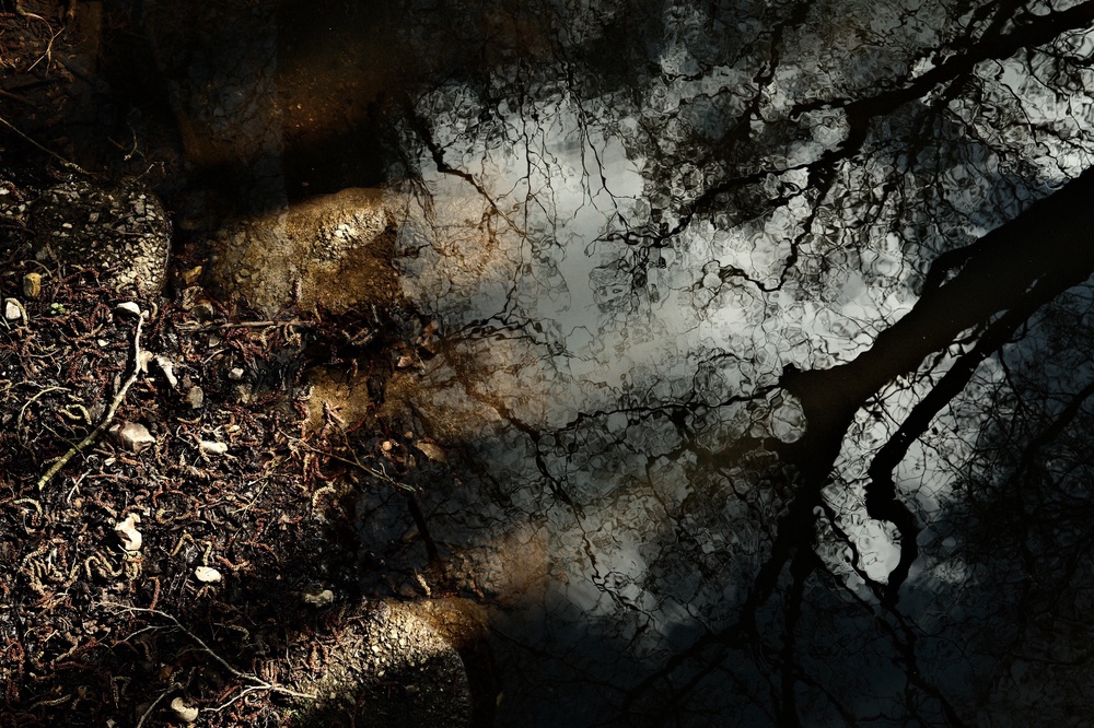 Unseasonably spooky reflections