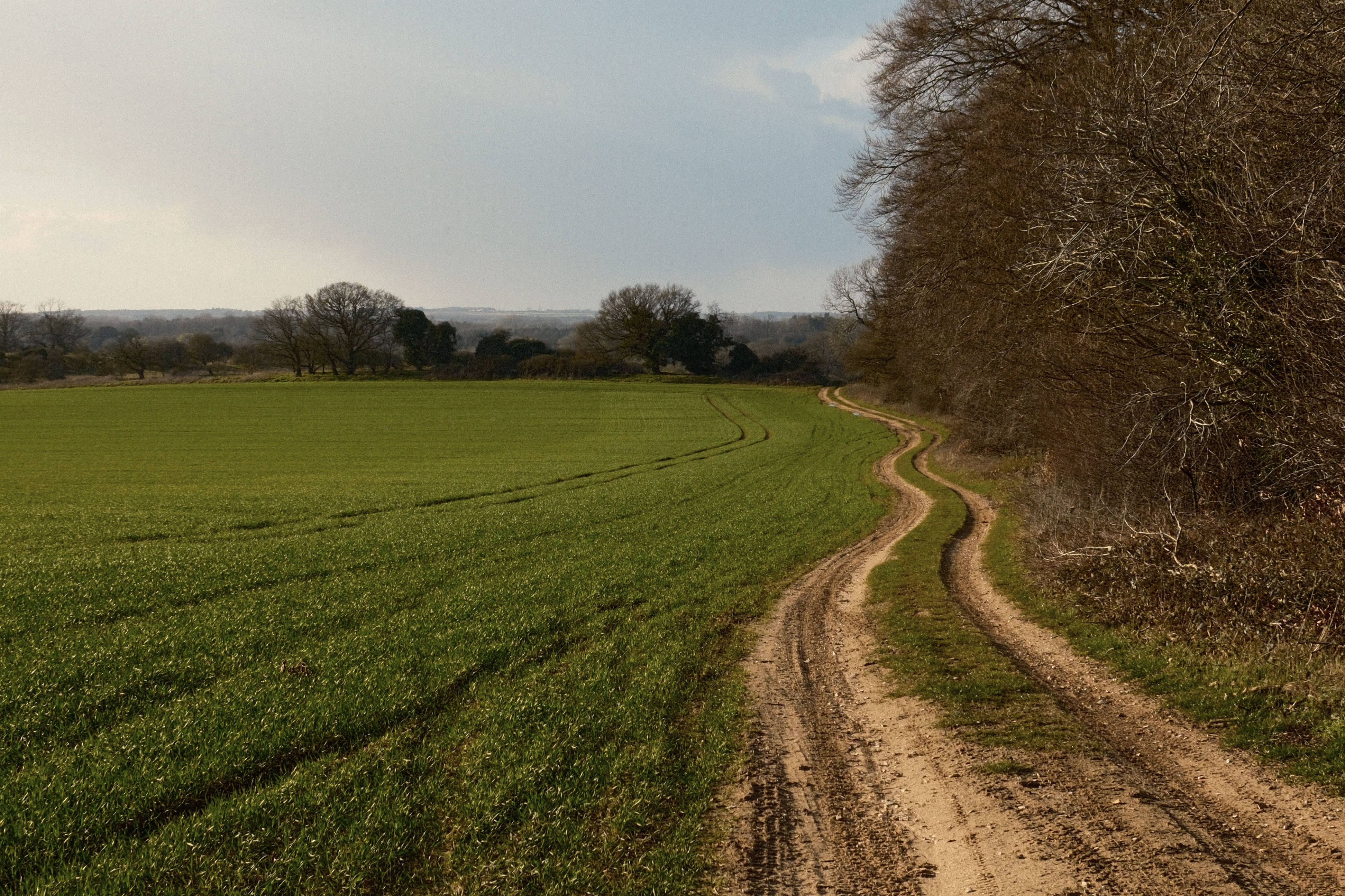 Green fields and meandering trails