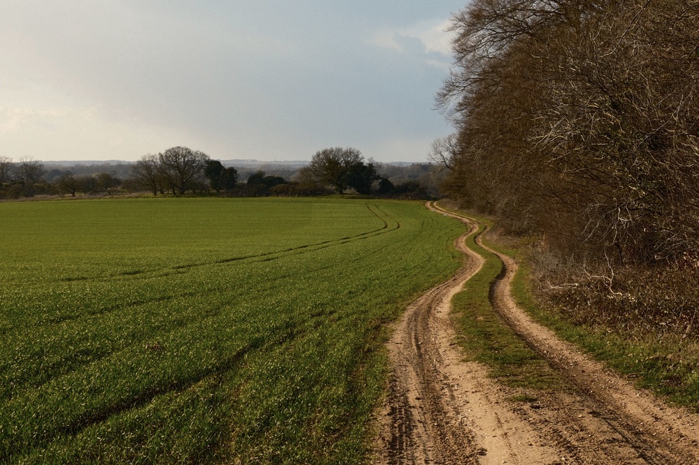 Green fields and meandering trails