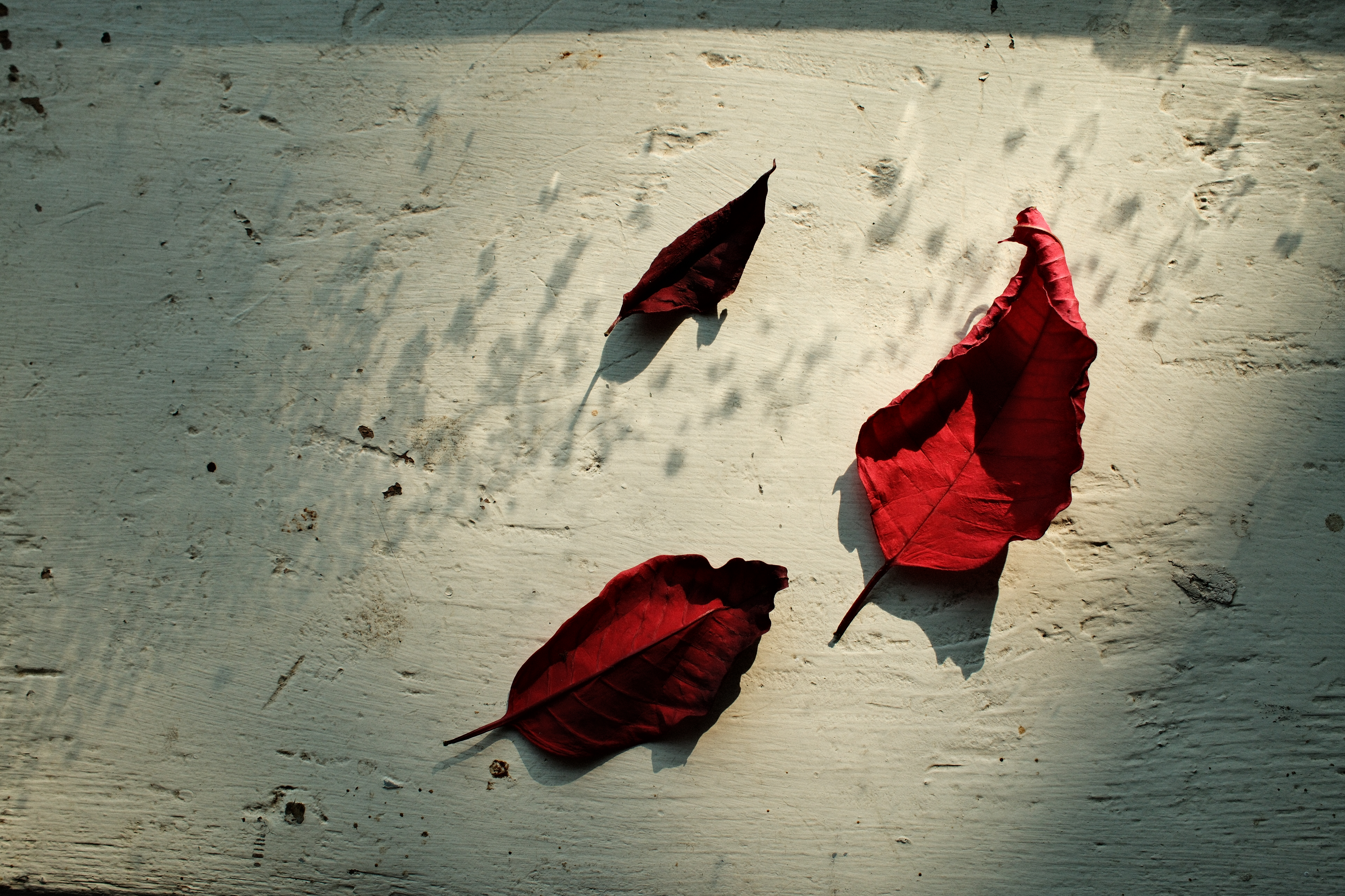 Time has come to pass