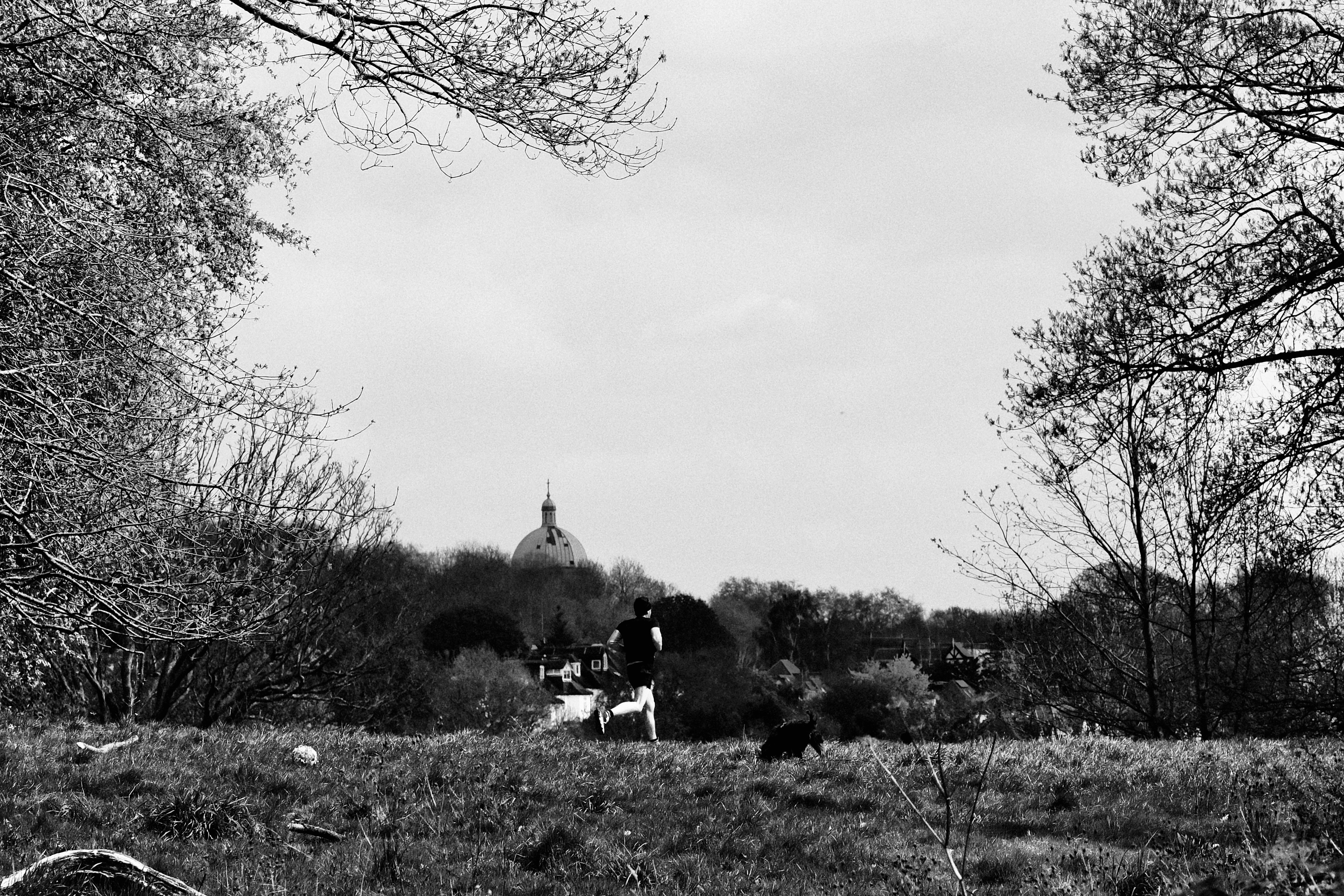 Nostalgic. What used to be.