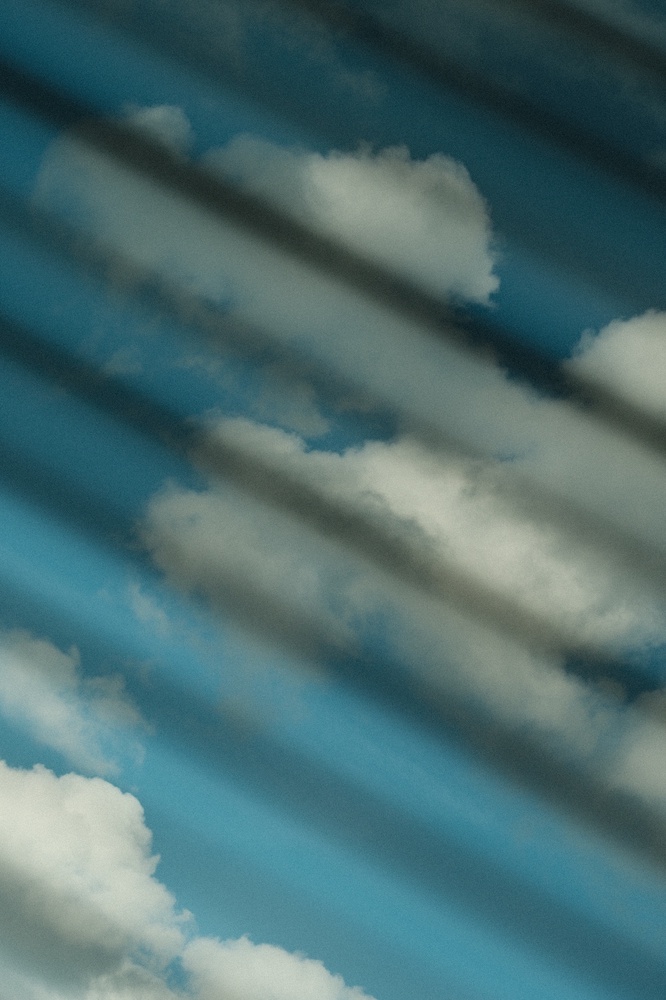 It’s a nice day, let’s go out 