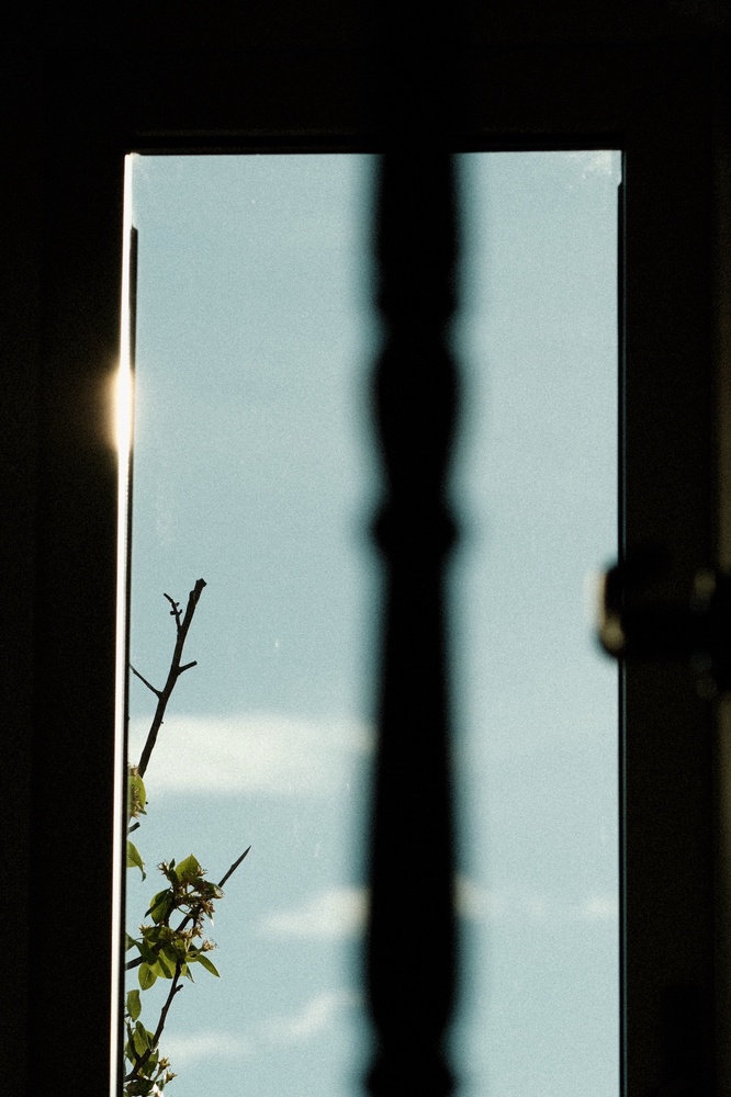 It’s a nice day, let’s go out 