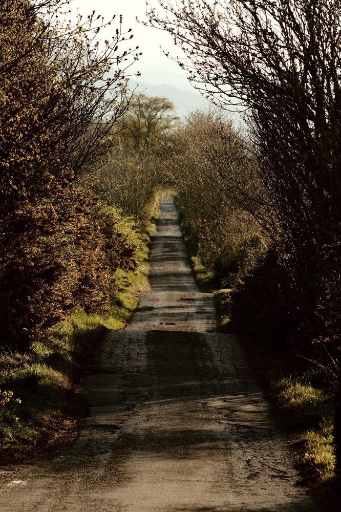 A place I can call home