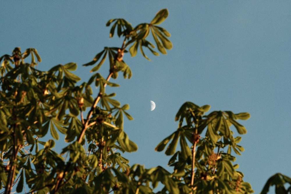 Still having fun putting the moon in places with double exposure.