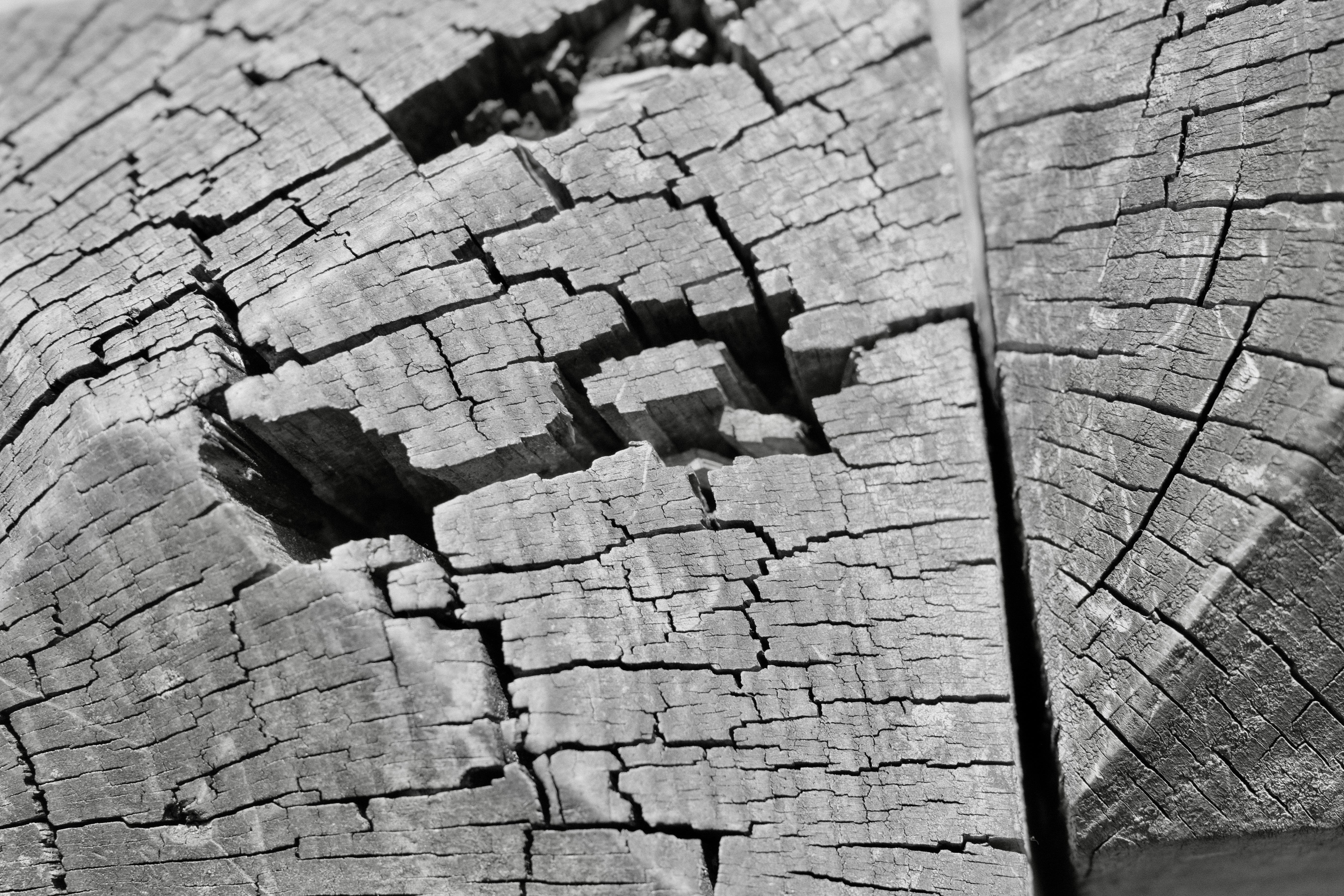 Cracked things found in Hampstead Heath with Mum