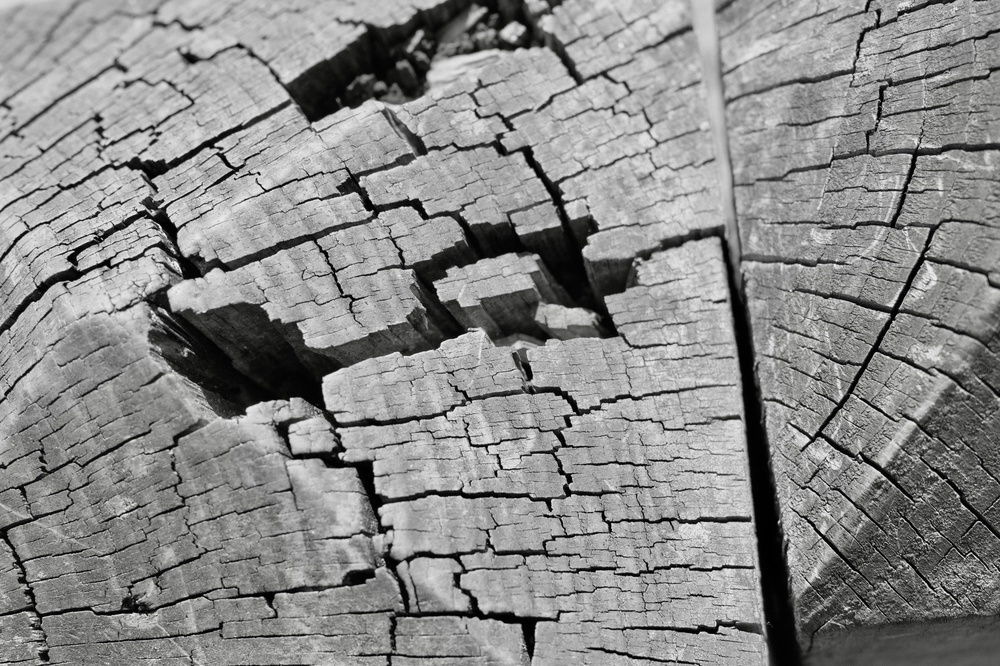Cracked things found in Hampstead Heath with Mum