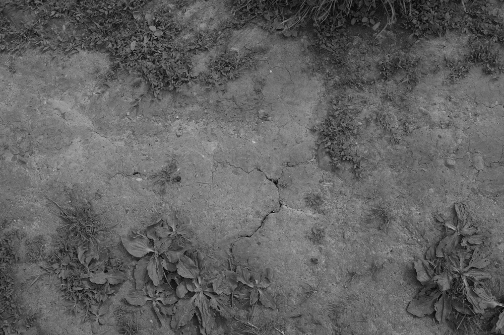 Cracked things found in Hampstead Heath with Mum