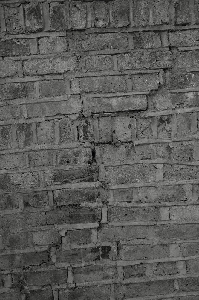 Cracked things found in Hampstead Heath with Mum