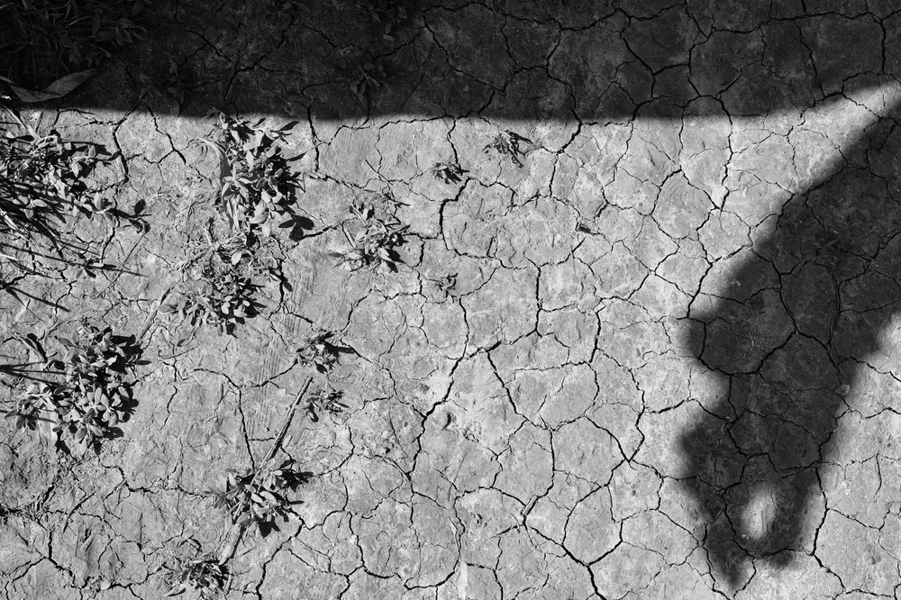 Cracked things found in Hampstead Heath with Mum