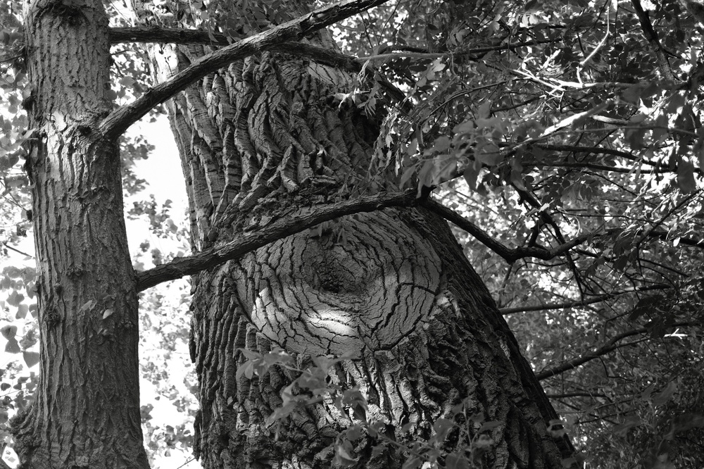 Cracked things found in Hampstead Heath with Mum