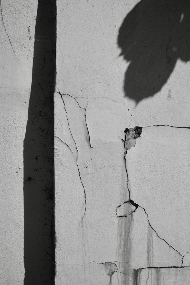 Cracked things found in Hampstead Heath with Mum