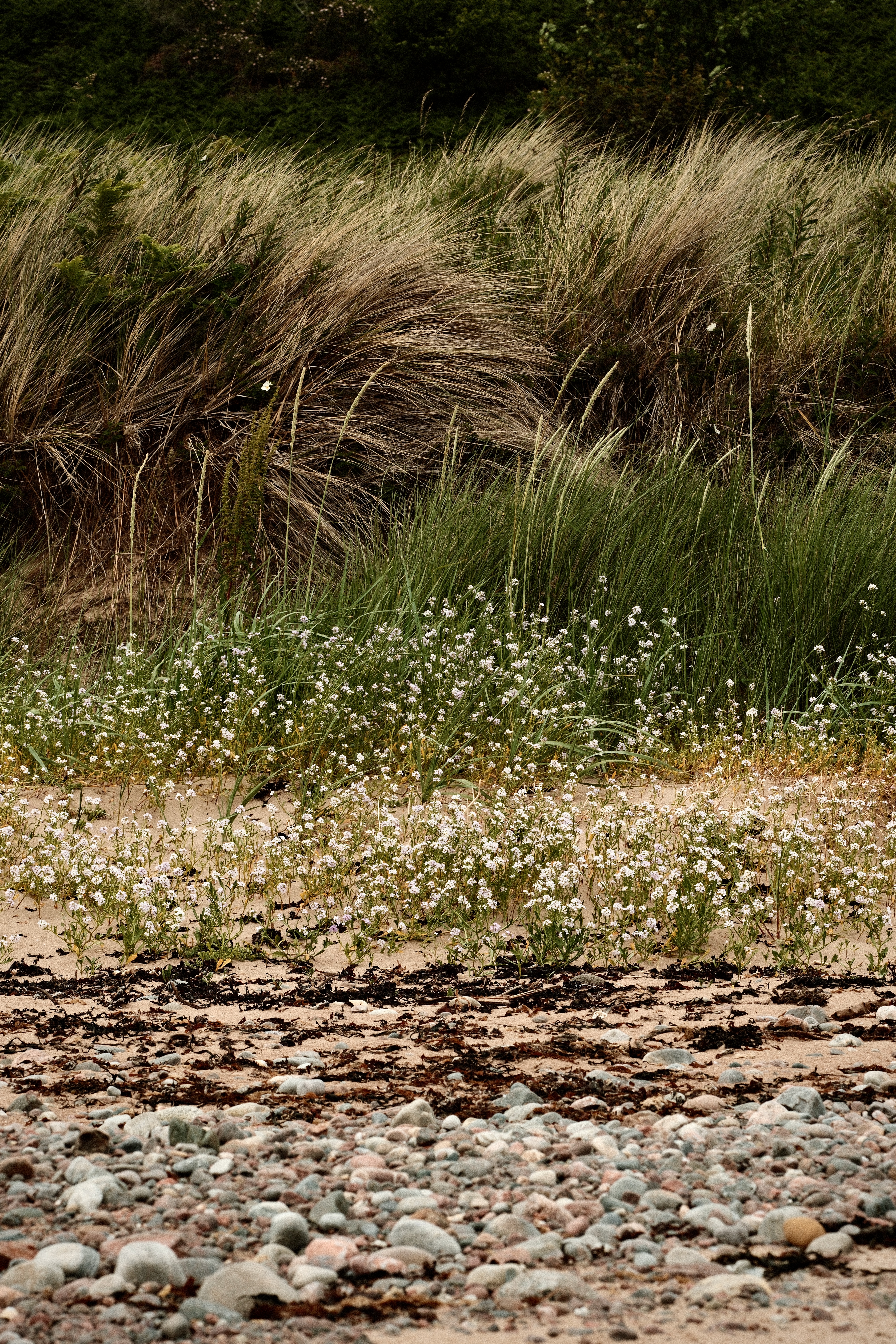 Seaside Layers