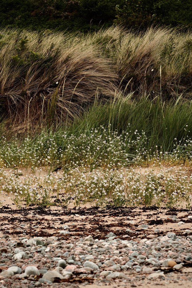 Seaside Layers