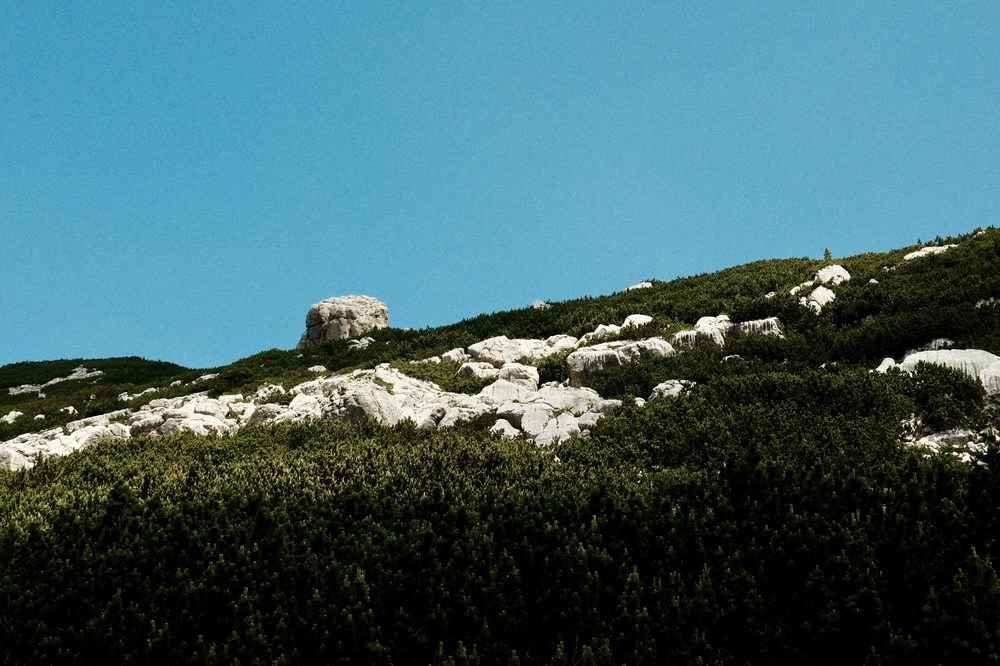 Knobbly Knoll