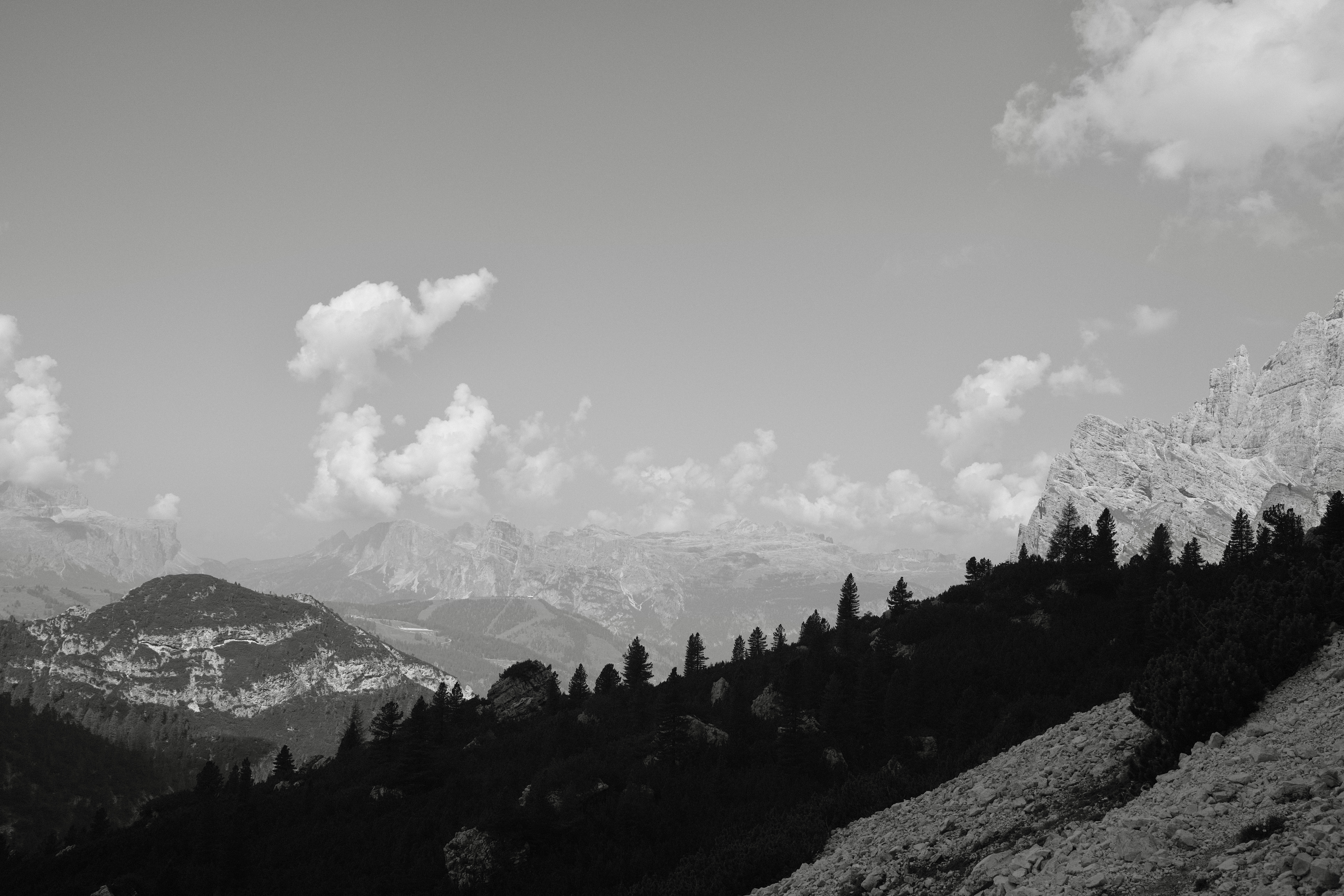 Rendered Ridgeline 