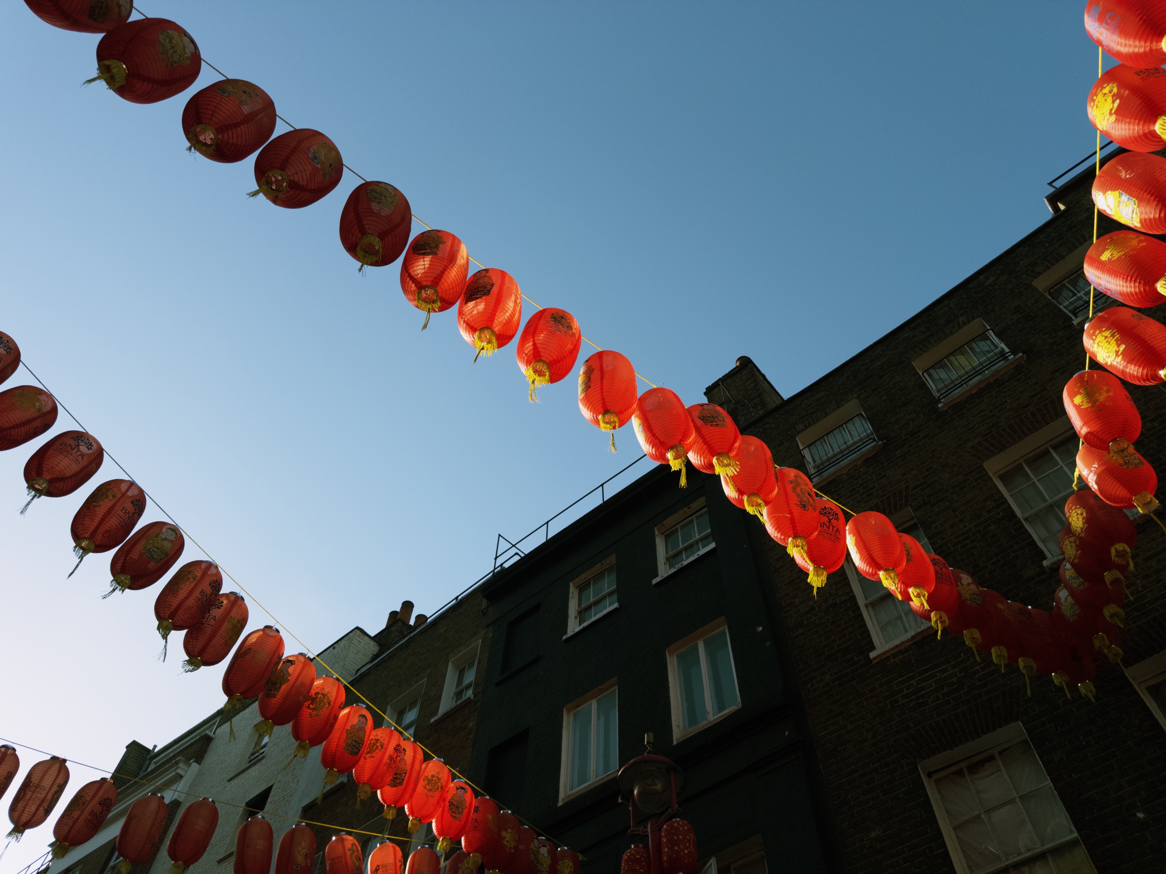 Lanterns lead the way 🎷