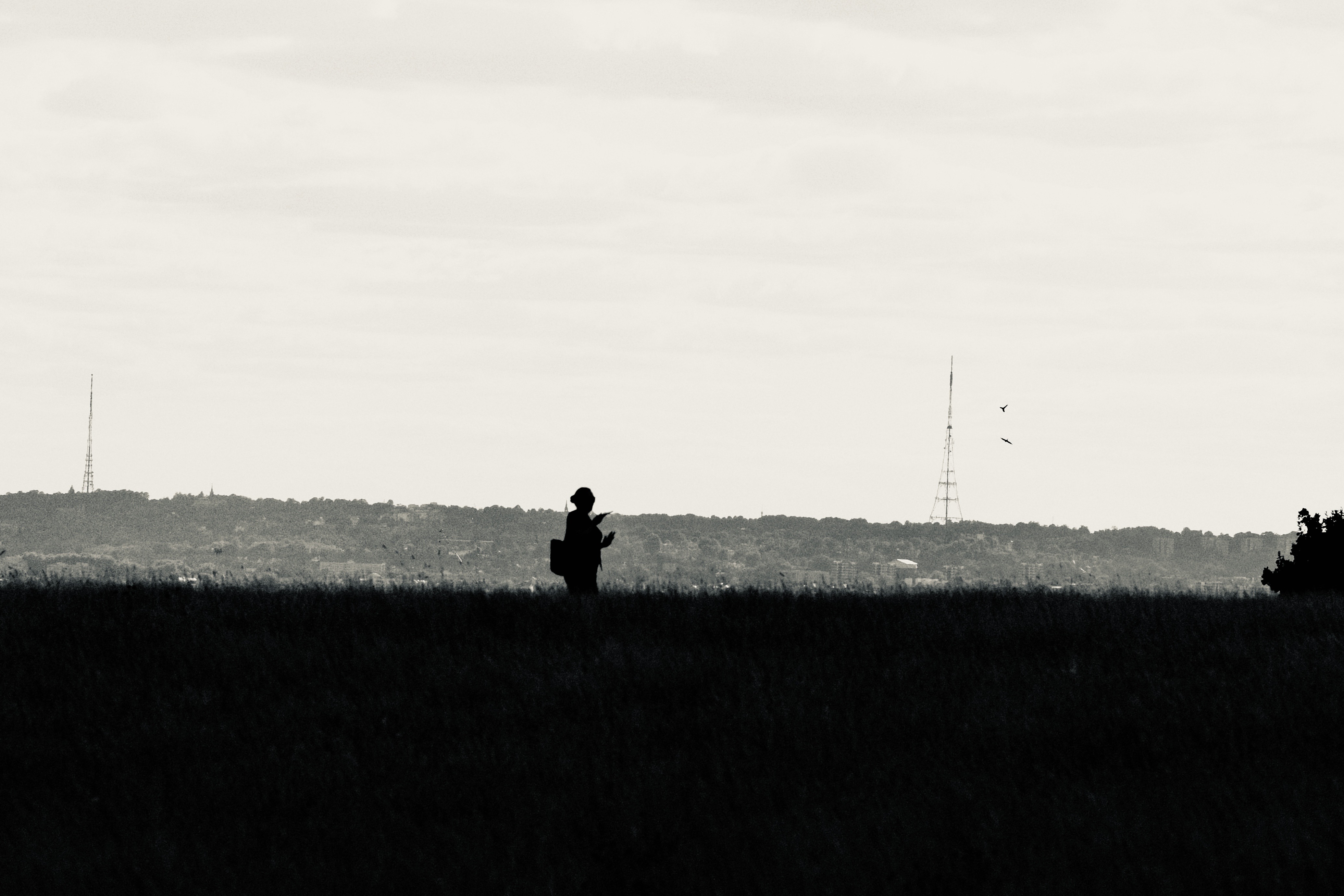 Silhouette in Oxleas Meadow