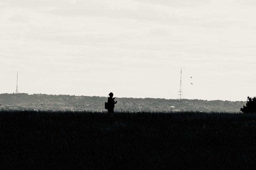 Silhouette in Oxleas Meadow