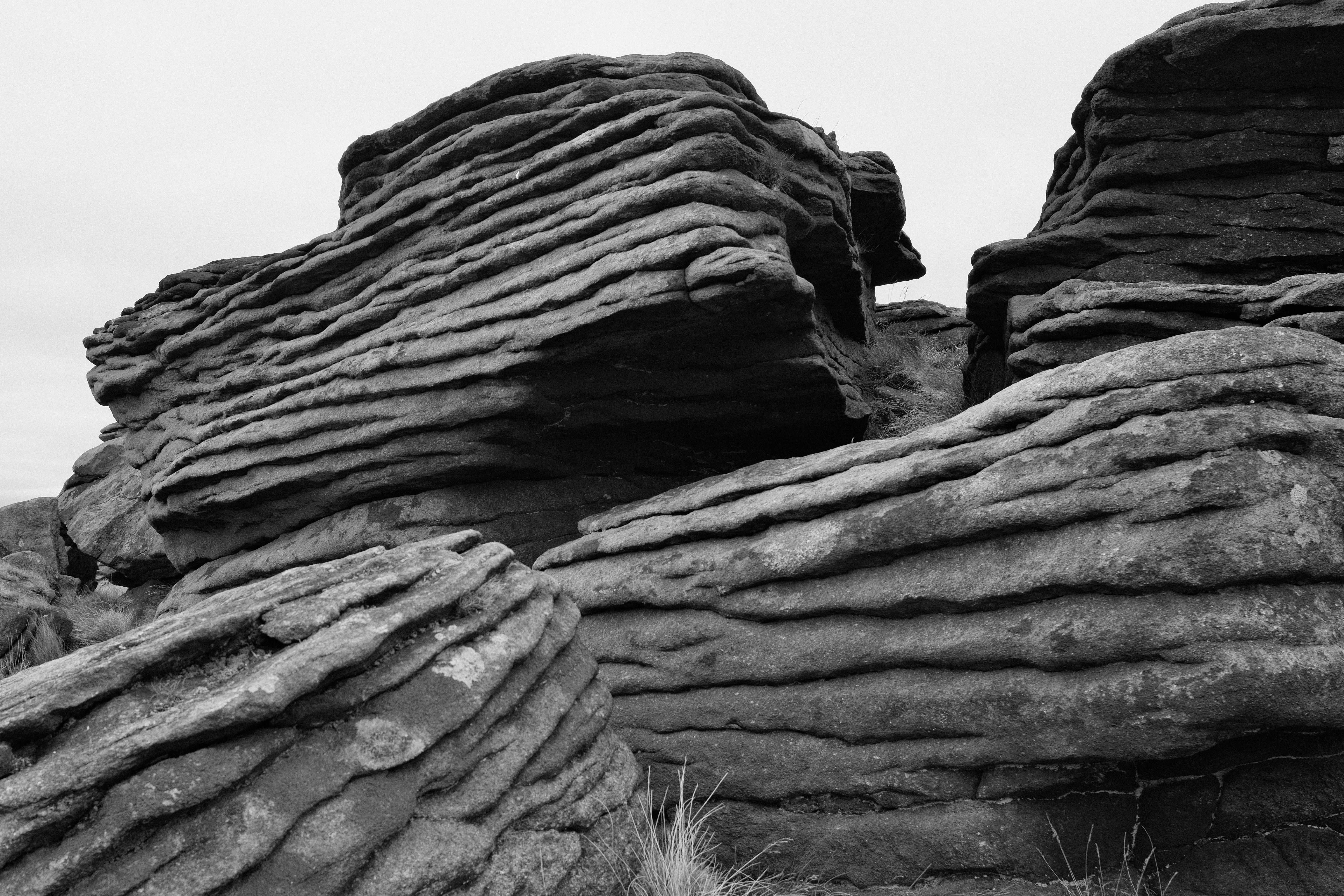 Sculpted