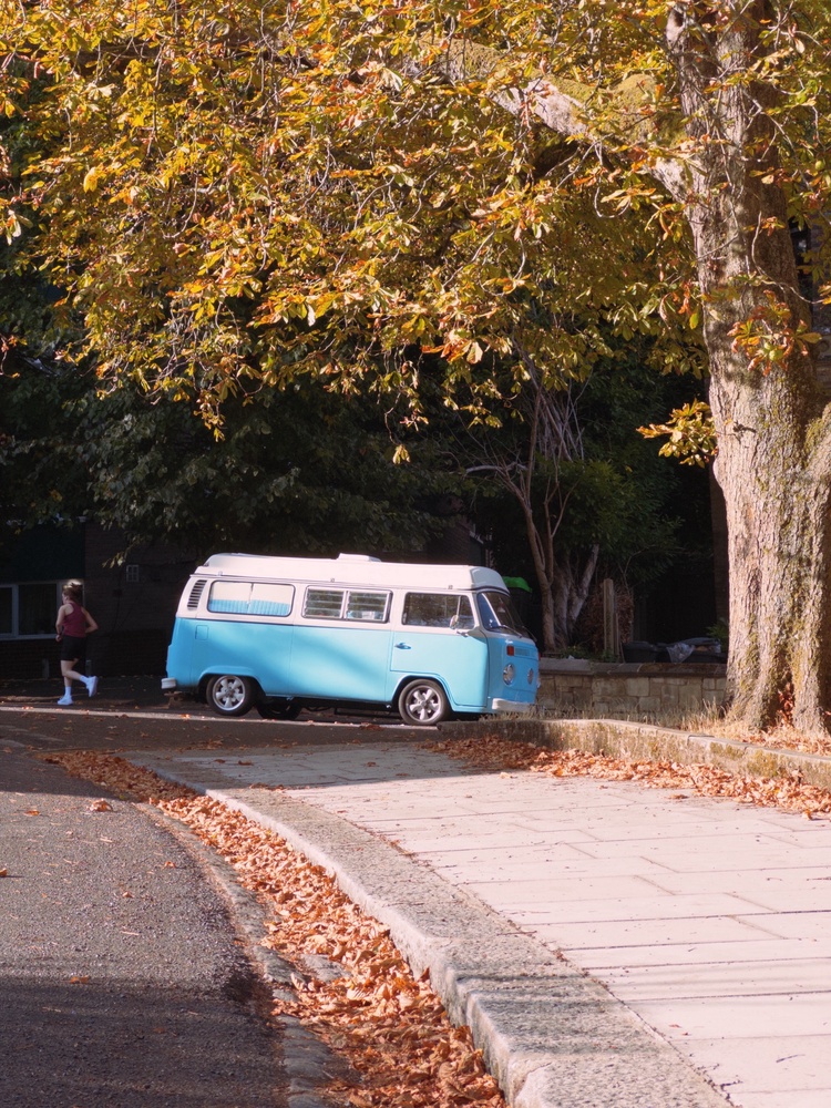 Autumn Drive