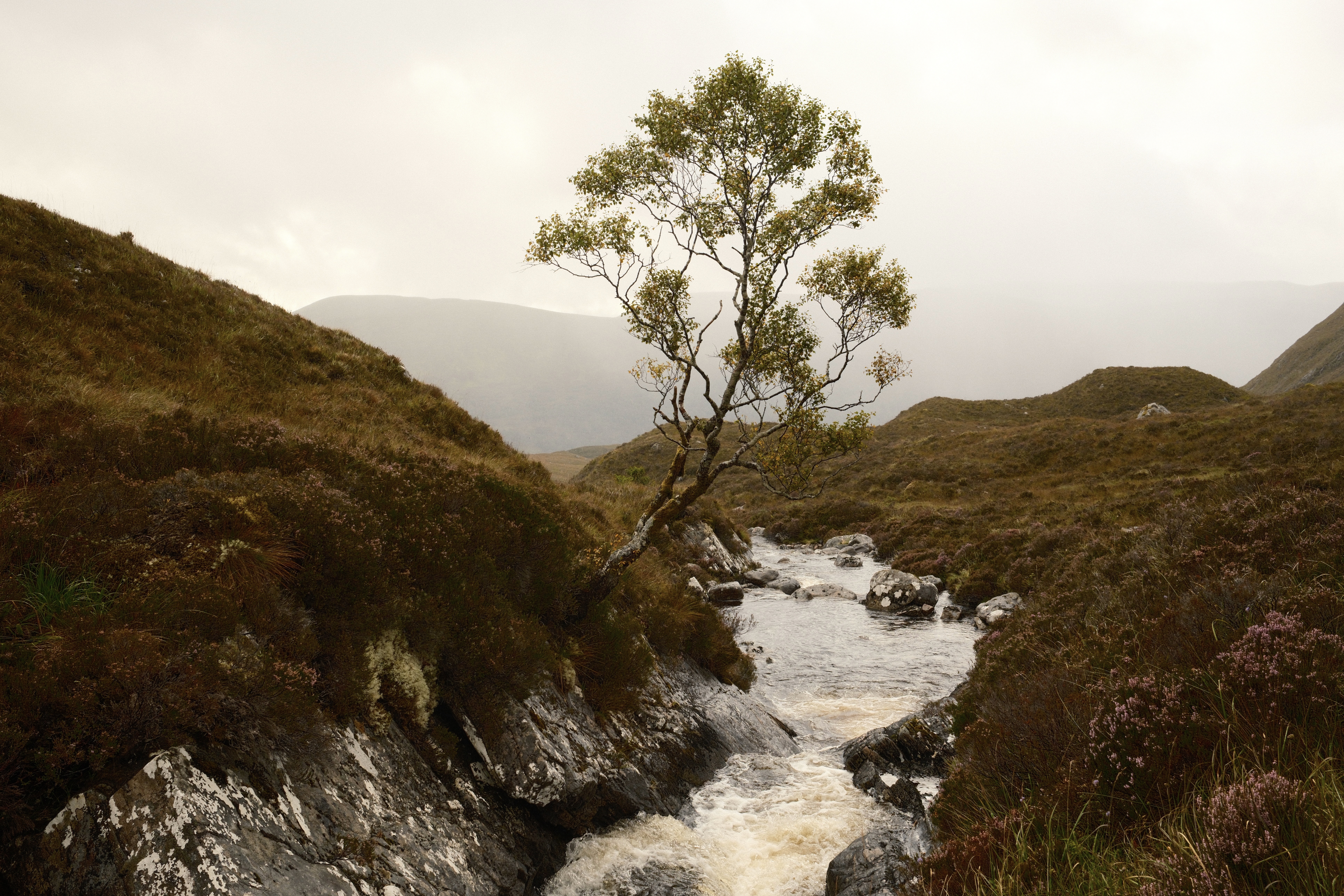 Rushing Water