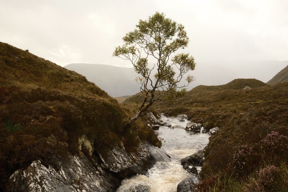 Rushing Water