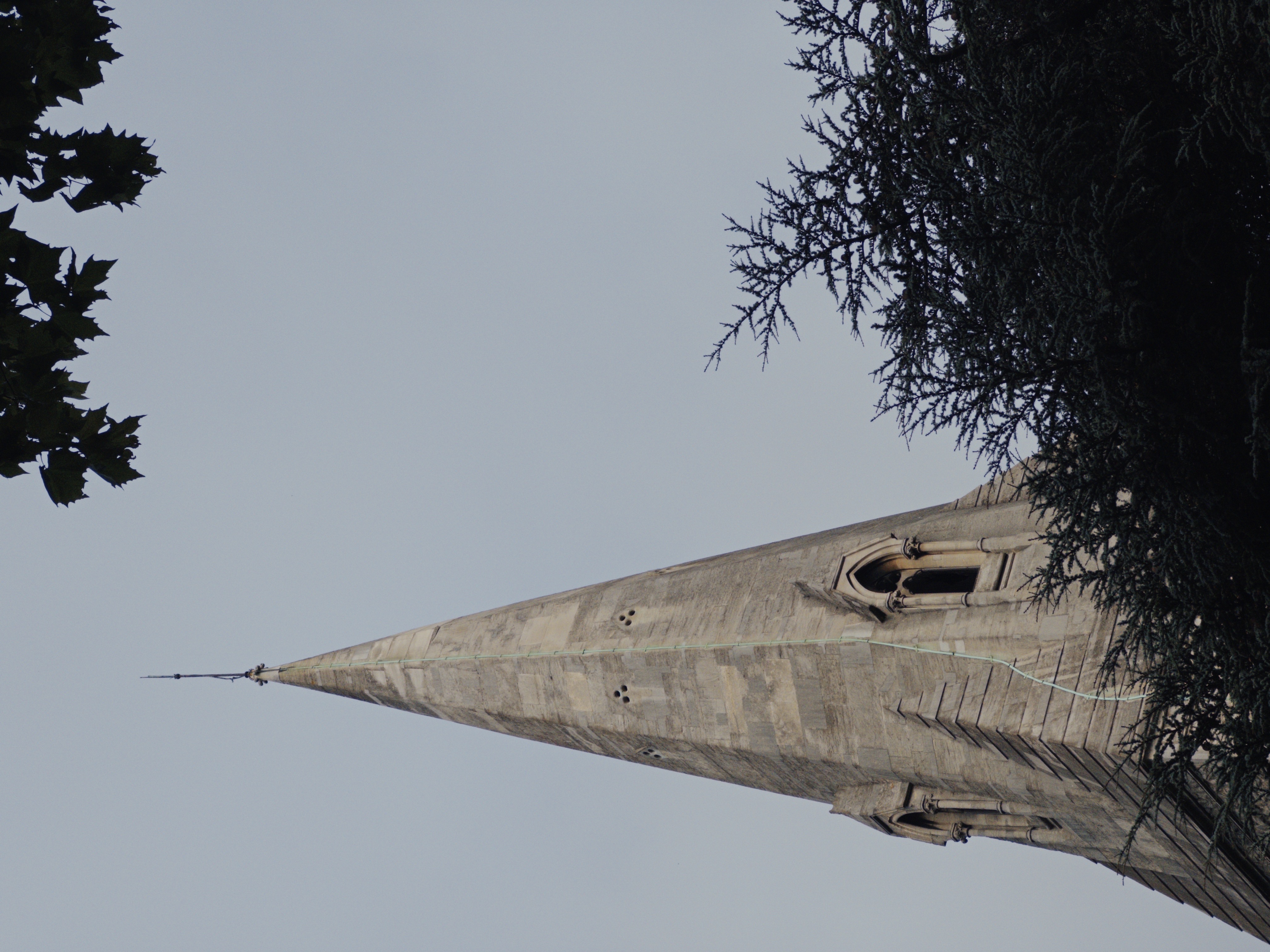 Towering Heights 