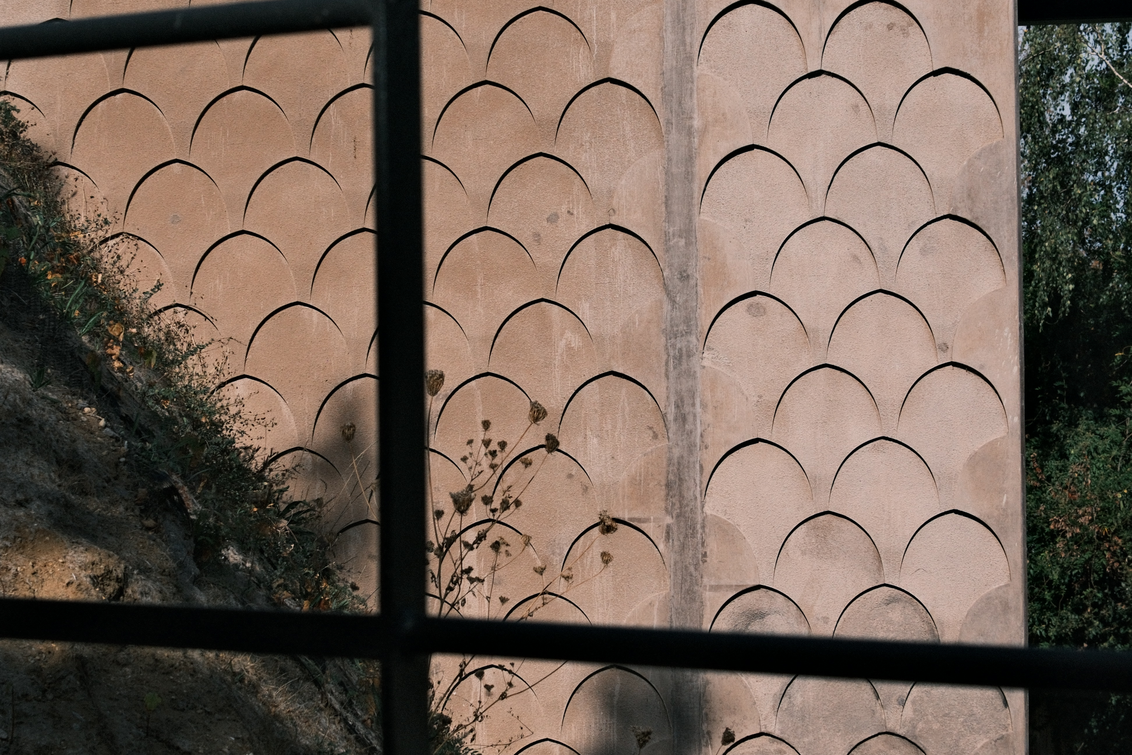 "window" view