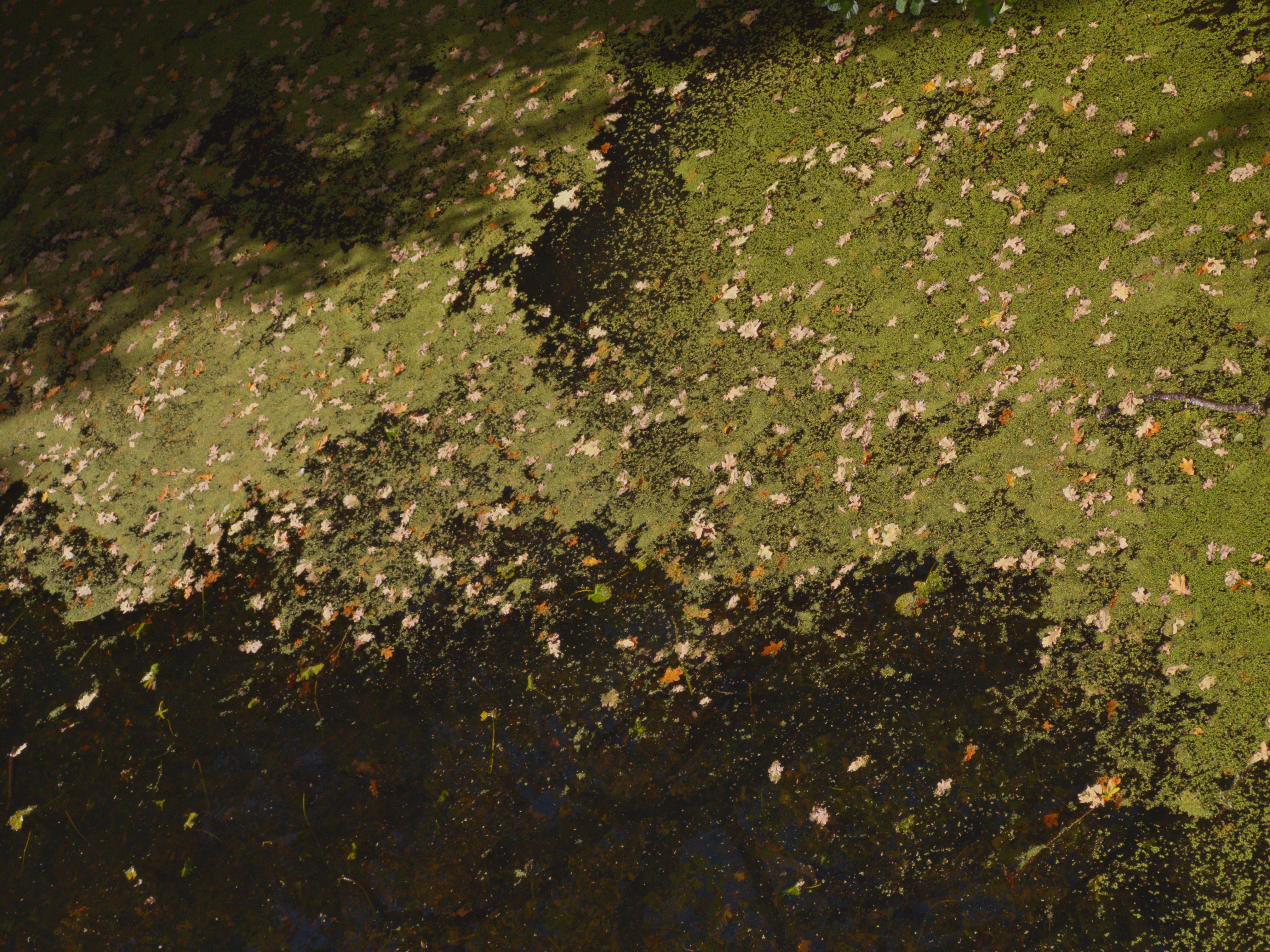 Autumn catches up.