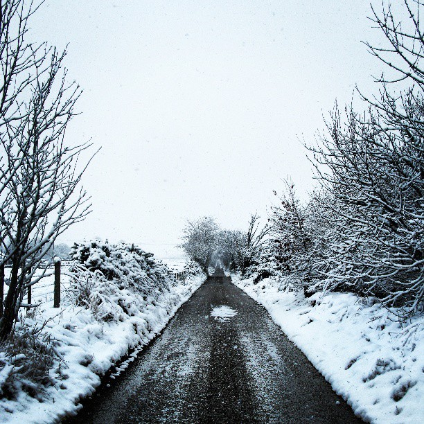 Snowy Long Lane