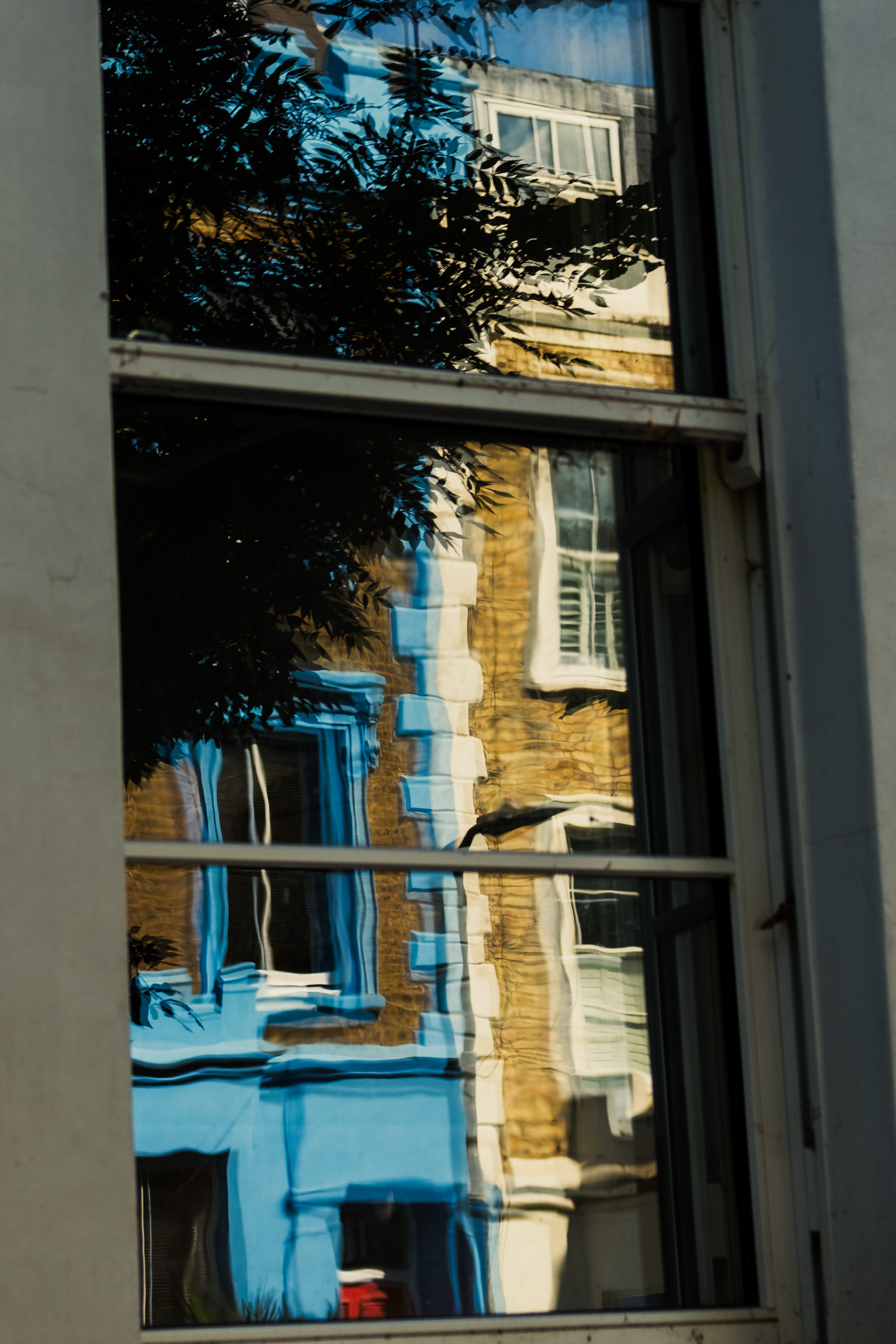 Blue in the window